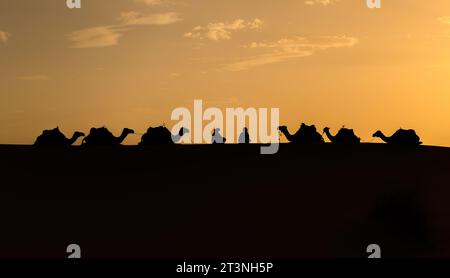Silhouette di due uomini berberberi seduti con carovane a cammello sulle dune di sabbia al tramonto nel deserto del Sahara, in Marocco Foto Stock
