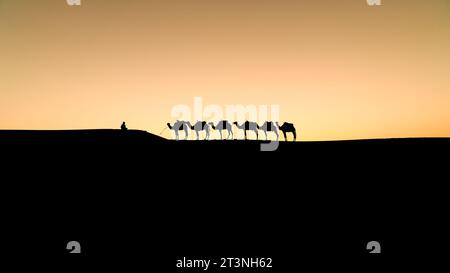 Silhouette di due uomini berberberi non identificati che guidano una carovana di cammelli attraverso dune di sabbia al tramonto nel deserto del Sahara, in Marocco Foto Stock