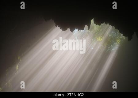 Immergiti nell'accattivante vista mentre ingranditi all'interno di Cave Jomblang, dove scorre luce eterea, illuminando le profondità Foto Stock