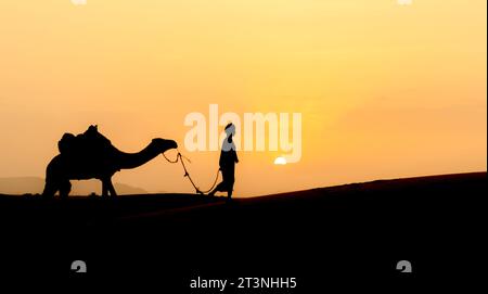 Silhouette di uomo berbero non identificato che conduce un cammello attraverso le dune di sabbia al tramonto nel deserto del Sahara, in Marocco Foto Stock