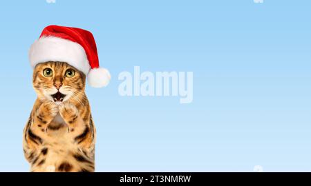 Gatto del Bengala che indossa il cappello di Babbo Natale, concetto natalizio, sfondo blu. Copia spazio. Foto Stock