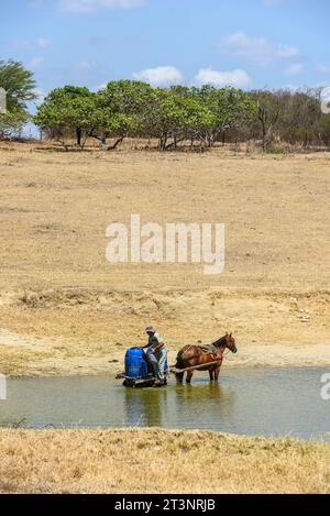 Uomo che raccoglie acqua con il cavallo in un bacino idrico a causa della siccità nelle terre di Paraiba, in Brasile, il 15 ottobre 2023. Foto Stock