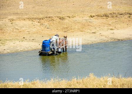 Uomo che raccoglie acqua con il cavallo in un bacino idrico a causa della siccità nelle terre di Paraiba, in Brasile, il 15 ottobre 2023. Foto Stock