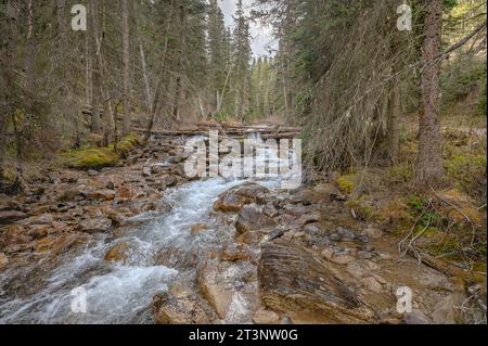 Acqua che scorre dal lago Louise nel Parco Nazionale di Banff, Alberta, Canada Foto Stock