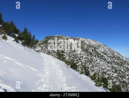 Herzogstand, Deutschland 16. Novembre 2022: Hier am Herzogstand im Winter, Schnee, wandern, Bergsteigen, Tourismus, Ausflugsmagnet, Hotspot, Voralpen, Weg zum Gipfel, Schneewandern *** Herzogstand, Germania 16 novembre 2022 qui a Herzogstand in inverno, neve, escursionismo, alpinismo, turismo, calamita per escursioni, punto caldo, ai piedi delle Alpi, strada per la cima, escursioni sulla neve crediti: Imago/Alamy Live News Foto Stock