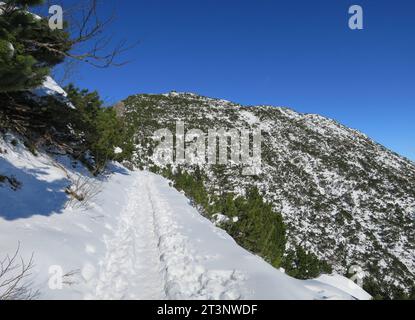 Herzogstand, Deutschland 16. Novembre 2022: Hier am Herzogstand im Winter, Schnee, wandern, Bergsteigen, Tourismus, Ausflugsmagnet, Hotspot, Voralpen, Weg zum Gipfel, Schneewandern *** Herzogstand, Germania 16 novembre 2022 qui a Herzogstand in inverno, neve, escursionismo, alpinismo, turismo, calamita per escursioni, punto caldo, ai piedi delle Alpi, strada per la cima, escursioni sulla neve crediti: Imago/Alamy Live News Foto Stock