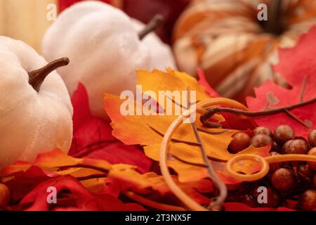 Foto HDR di zucche bianche su foglie. Foto di alta qualità Foto Stock