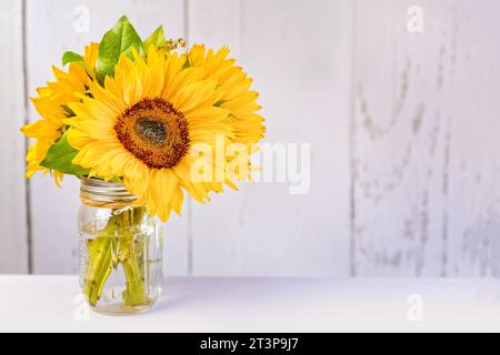 Un bouquet di girasoli in un vaso di vetro e uno spazio copia Foto Stock