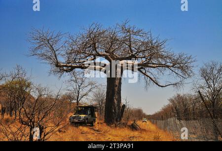 La riserva naturale Makuya nella provincia di Limpopo in Sudafrica offre ai visitatori un'esperienza unica di safari e campeggio in un territorio selvaggio Foto Stock