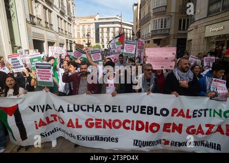 Malaga, Spagna. 26 ottobre 2023. I manifestanti sono visti con un grande striscione mentre prendono parte a una manifestazione studentesca a sostegno della Palestina e di Gaza. Decine di studenti chiamati dal sindacato studentesco partecipano a una protesta che chiede la fine del massacro a Gaza e in solidarietà con il popolo palestinese, nel mezzo della guerra tra Israele e Hamas. Credito: SOPA Images Limited/Alamy Live News Foto Stock