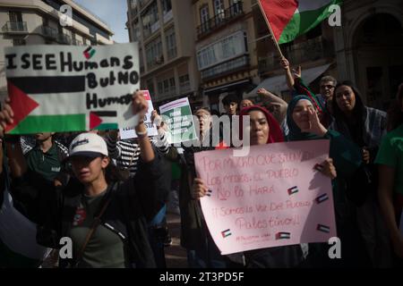 Malaga, Spagna. 26 ottobre 2023. I manifestanti hanno visto tenere cartelli che esprimevano la loro opinione mentre prendevano spunto in una manifestazione studentesca a sostegno della Palestina e di Gaza. Decine di studenti chiamati dal sindacato studentesco partecipano a una protesta che chiede la fine del massacro a Gaza e in solidarietà con il popolo palestinese, nel mezzo della guerra tra Israele e Hamas. Credito: SOPA Images Limited/Alamy Live News Foto Stock