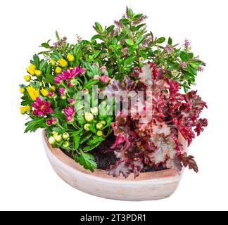 Primo piano di un deco di fiori isolato in un vaso di argilla a forma di cuore Foto Stock
