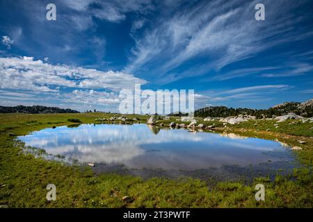 WY05349-00...WYOMING - nuvole che si riflettono in un piccolo tarn vicino al Summit Lake nella sezione della catena del Wind River nell'area di Bridger Wilderness. Foto Stock