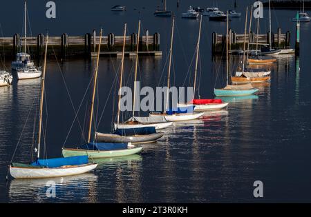 fila o fila di piccoli yacht colorati e dipinti con colori vivaci o barche a vela sugli ormeggi nel porto turistico sul fiume lymington alla luce della sera. Foto Stock