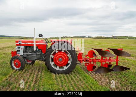 Massey Ferguson 165 e aratro a lama in mostra in una fiera agricola, Troon, Ayrshire, Scozia, Regno Unito Foto Stock