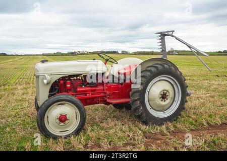 Trattore Ford 8N Red Belly 1951, importato dall'America, esposto in una fiera agricola di Troon, Ayrshire, Scozia, Regno Unito Foto Stock