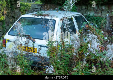 Vecchia auto Vauxhall Nova abbandonata nel sottobosco Foto Stock