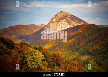 la splendida foresta autunnale delle montagne Foto Stock