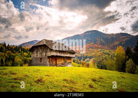 la splendida foresta autunnale delle montagne Foto Stock