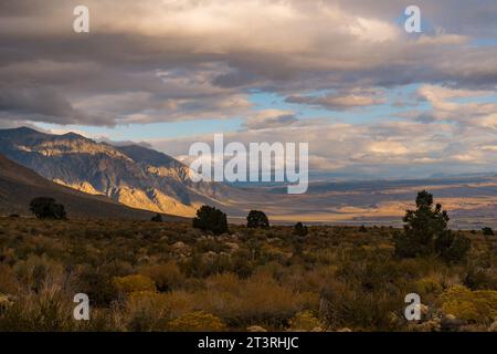 Pittoresca alba nuvolosa nella Valle di Owens. Illuminazione dorata e piante durante l'autunno nei Buttermilks ai piedi delle montagne della Sierra Nevada. Foto Stock