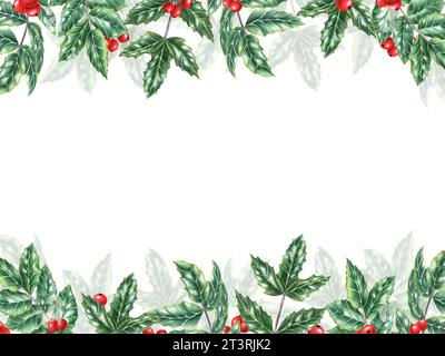 Foglie di ilex verde con bacche rosse. Cornice orizzontale di foglie di Holly, arbusto sempreverde. Decorazione naturale invernale. Illustrazione acquerello Foto Stock