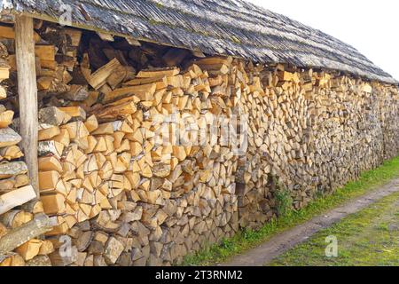 Una parete di legno fatta di legna da ardere, impilata sotto la tettoia di un vecchio fienile. Foto Stock