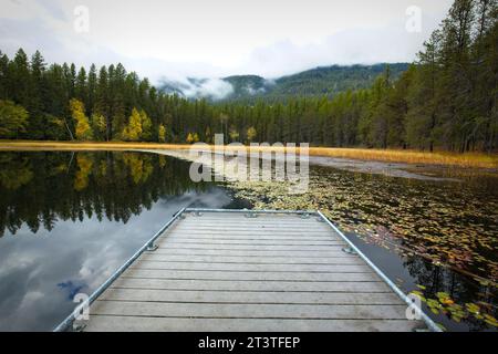 Un bacino che conduce a piccoli tamponi di giglio che formano una linea nel piccolo lago Sinclair nell'estremo nord dell'Idaho in autunno. Foto Stock