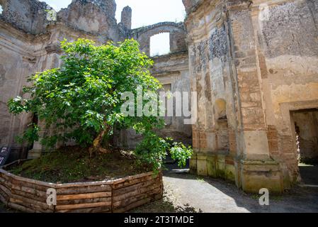 Rovine dell'Antica Monterano - Italia Foto Stock