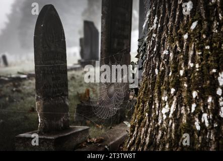 Ragnatela ricoperta di rugiada tra un albero e una lapide storica in una spaventosa nebbia mattinata autunnale . Pioneer Cemetery, Salem, Oregon, USA. Foto Stock