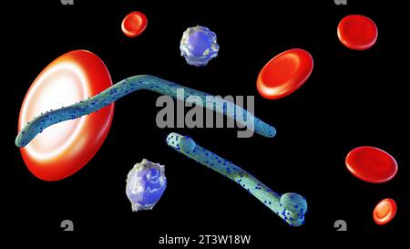 Rendering 3D di un virus Ebola all'interno di un corpo umano con globuli rossi e globuli bianchi sparsi Foto Stock