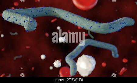 Rendering 3D di un virus Ebola all'interno di un corpo umano con globuli rossi e globuli bianchi sparsi Foto Stock