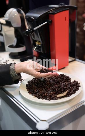 Il barista verifica la qualità dei chicchi di caffè prima di versarli nella macchina da caffè Foto Stock