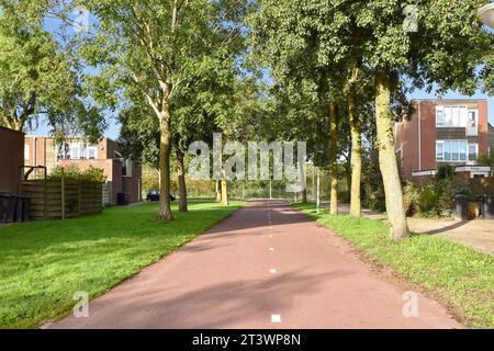 una strada alberata con case sullo sfondo e erba verde su entrambi i lati, lungo un sentiero che conduce ad un complesso di appartamenti Foto Stock