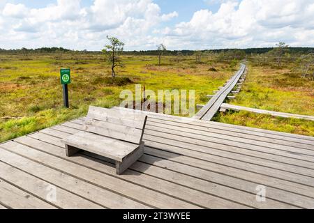 Splendida panca in legno nella palude di Kakerdaja, sentiero escursionistico circondato da piccoli stagni in una splendida giornata estiva soleggiata in Estonia, Foto Stock