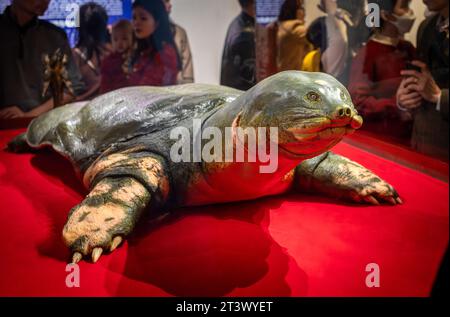 Una tartaruga Swinhoe Softshell (Rafetus swinhoei) conservata in mostra nel tempio Ngoc Son, Hoan Kiem, Hanoi, Vietnam. La venerata tartaruga, che viveva in H Foto Stock