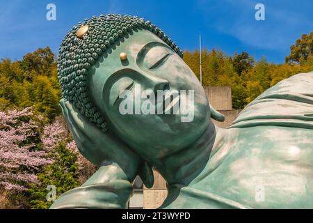 Il Buddha sdraiato al tempio di Nanzoin a Fukuoka, Kyushu, Giappone Foto Stock