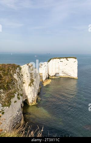 Old Harry Rocks, settembre 2023, formazione rocciosa di gesso sulla costa del giurassico, Purbeck, Dorset, Inghilterra, Regno Unito, giorno di sole nel cielo blu Foto Stock