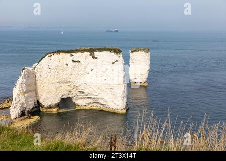 Old Harry Rocks, settembre 2023, formazione rocciosa di gesso sulla costa del giurassico, Purbeck, Dorset, Inghilterra, Regno Unito, giorno di sole nel cielo blu Foto Stock