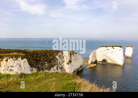 Old Harry Rocks, settembre 2023, formazione rocciosa di gesso sulla costa del giurassico, Purbeck, Dorset, Inghilterra, Regno Unito, giorno di sole nel cielo blu Foto Stock