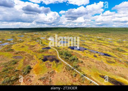 Spettacolare vista aerea di un sentiero escursionistico su paludi di Kakerdaja circondato da piccoli stagni in una splendida giornata estiva soleggiata in Estonia, Foto Stock