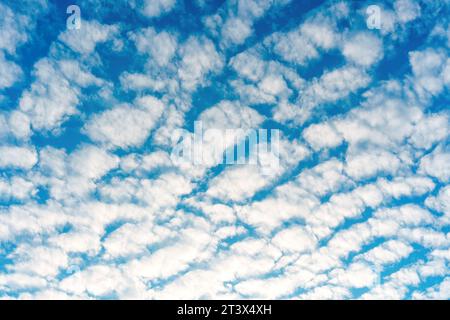 Affascinante visualizzazione di nuvole altocumulo che si estendono sulla tela blu del cielo. Foto Stock