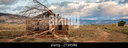 Vecchia cabina e albero spazzato dal vento. Foto Stock