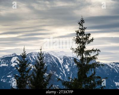 Paesaggio invernale del crinale montano di Dobratsch, Carinzia, Austria Foto Stock