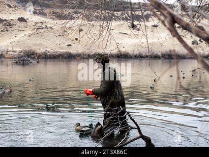 Hunter fa rotta nel fiume, rivestito di trampolieri all'alba Foto Stock