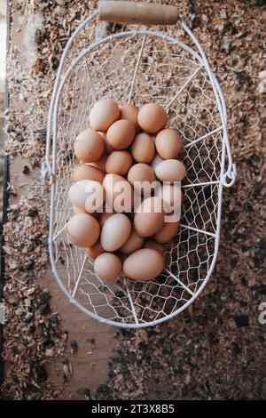Cestino di uova fresche nel coop Foto Stock