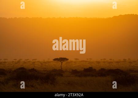 Splendido scenario del Triangolo di Mara in Kenya Foto Stock