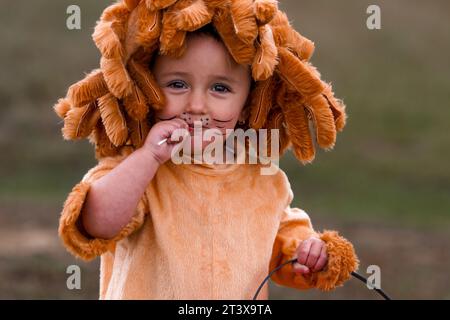 Primo piano di una bambina in costume da leone Foto Stock