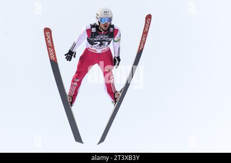 JANDA Jakub CZE Aktion FIS Coppa del mondo di salto con gli sci presentata da Viessmann a Willingen, Deutschland AM 01.02.2015 Foto Stock
