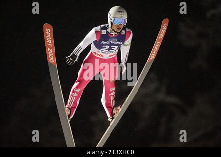 JANDA Jakub CZE Aktion FIS Coppa del mondo di salto con gli sci presentata da Viessmann a Willingen, Deutschland AM 30.01.2015 Foto Stock