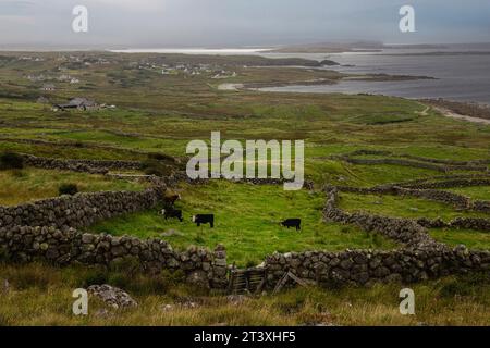 Cnoc Fola, noto anche come Bloody Foreland, è un punto panoramico situato sulla Wild Atlantic Way nella contea di Donegal, in Irlanda. Foto Stock